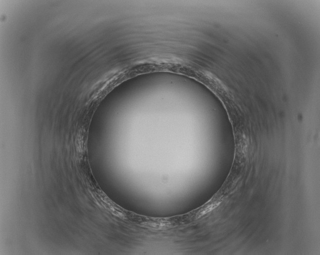 X0000080671110200612301353