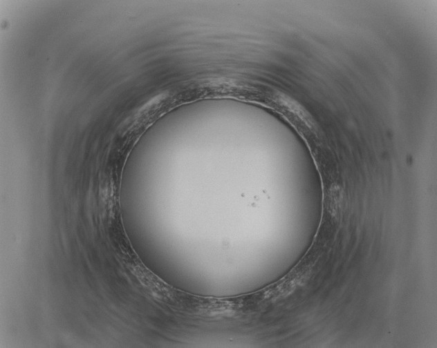 X0000080671111200612301353