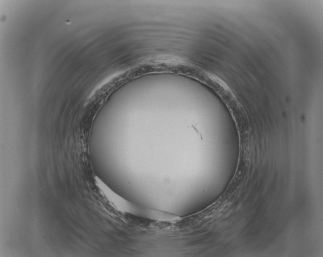 X0000080671112200612301353