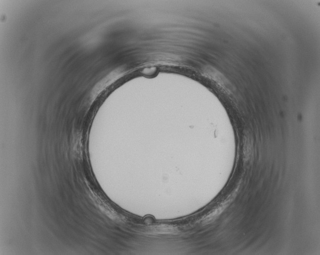 X0000080671113200612301353