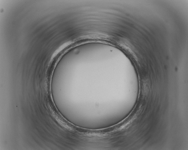 X0000080671114200612301353