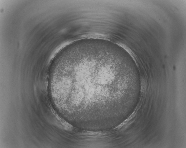 X0000080671115200612301353