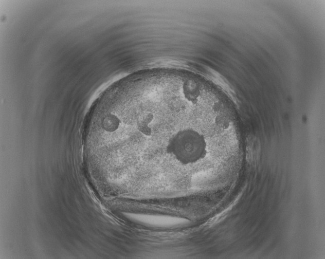 X0000080671117200612301353