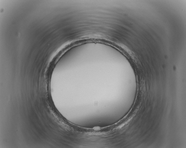 X0000080671118200612301353