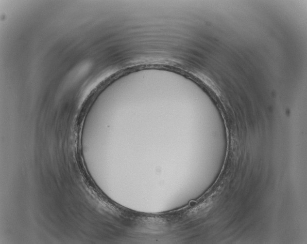 X0000080671119200612301353