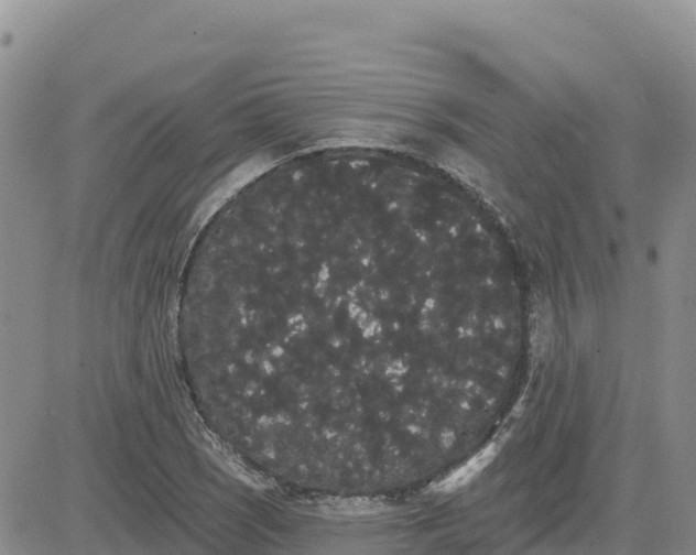 X0000080671121200612301353