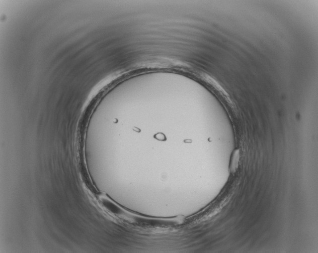 X0000080671122200612301353