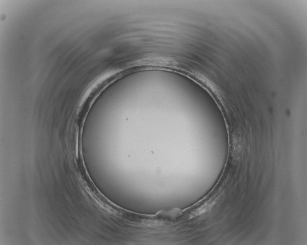 X0000080671123200612301353