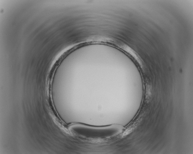 X0000080671124200612301353