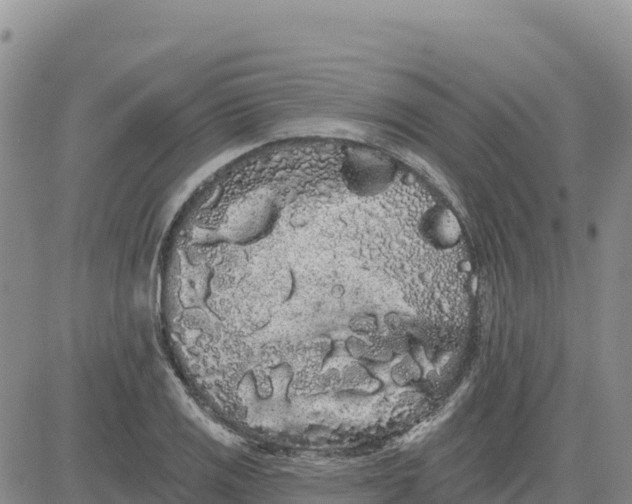 X0000080671125200612301353