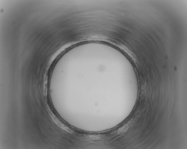 X0000080671126200612301353