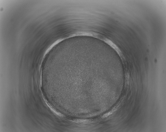 X0000080671127200612301353