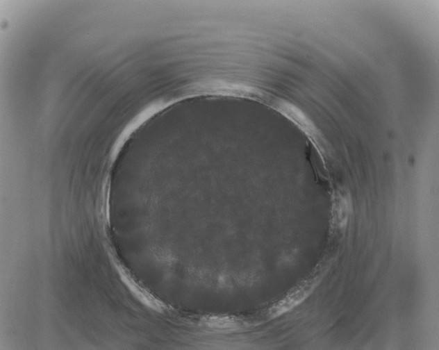 X0000080671128200612301353