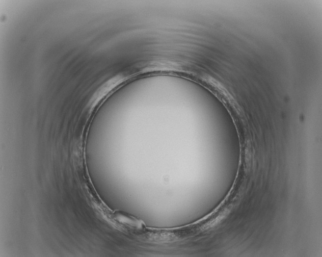 X0000080671129200612301353