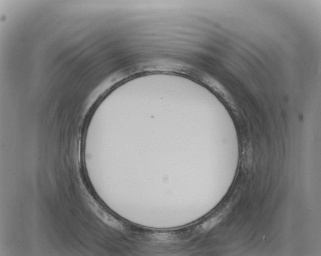 X0000080671130200612301353