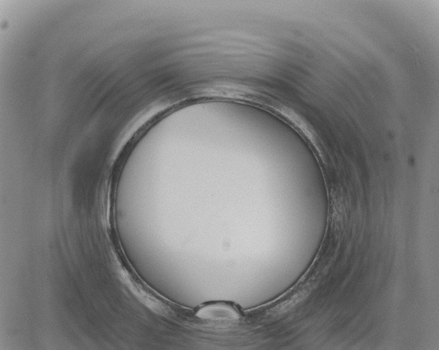 X0000080671131200612301353