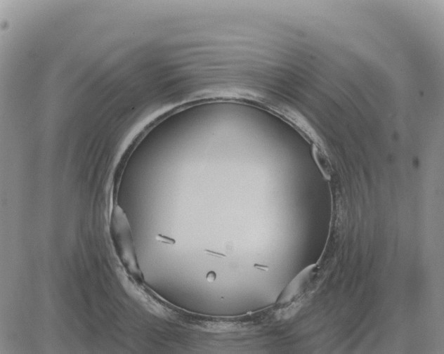 X0000080671132200612301353