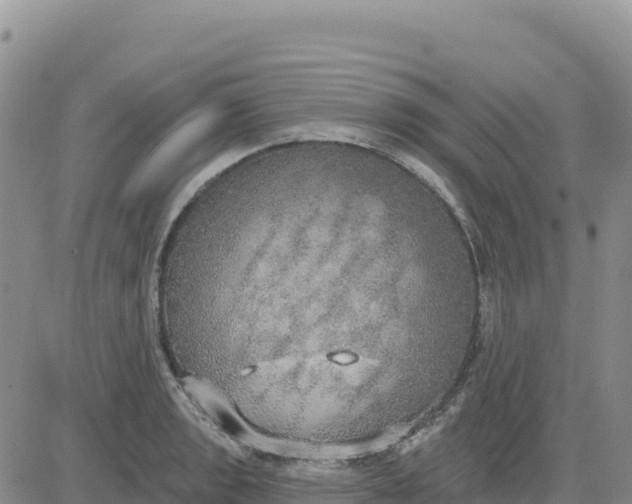 X0000080671133200612301353