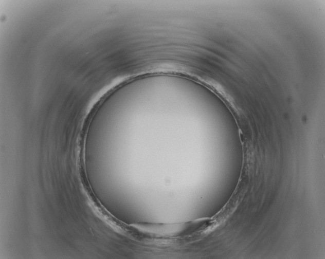 X0000080671134200612301353