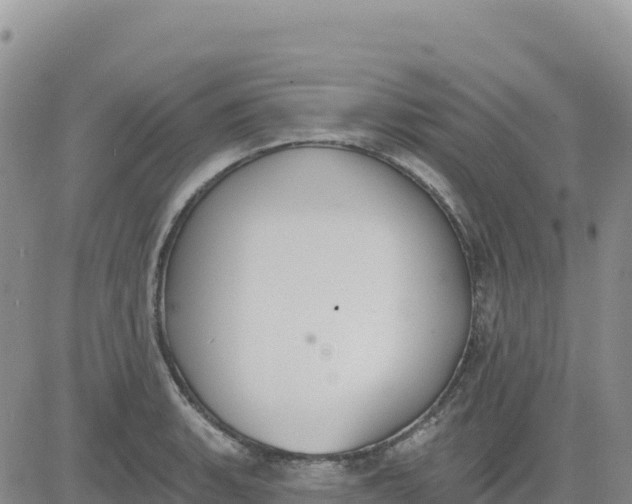 X0000080671135200612301353