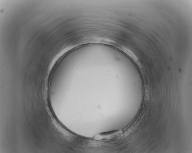 X0000080671136200612301353