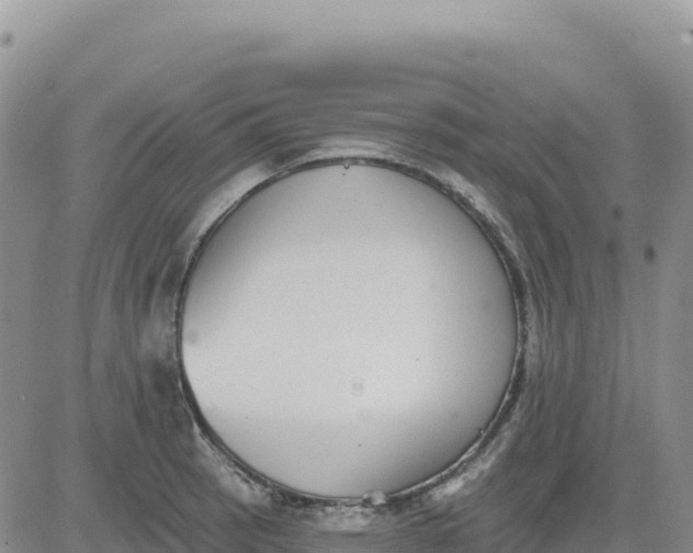 X0000080671137200612301353