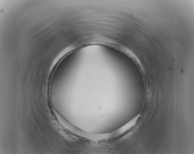 X0000080671138200612301353