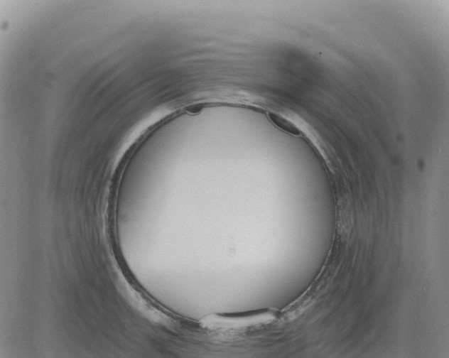 X0000080671139200612301353