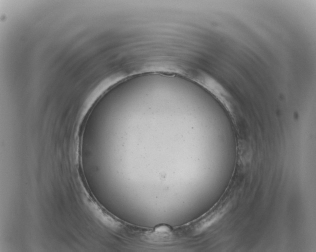 X0000080671140200612301353