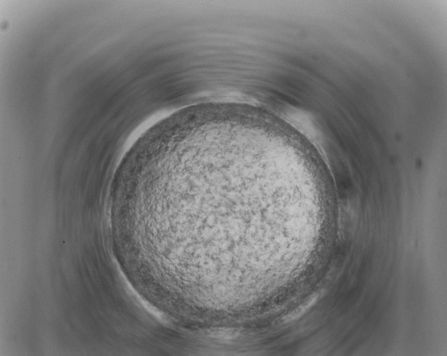 X0000080671141200612301353