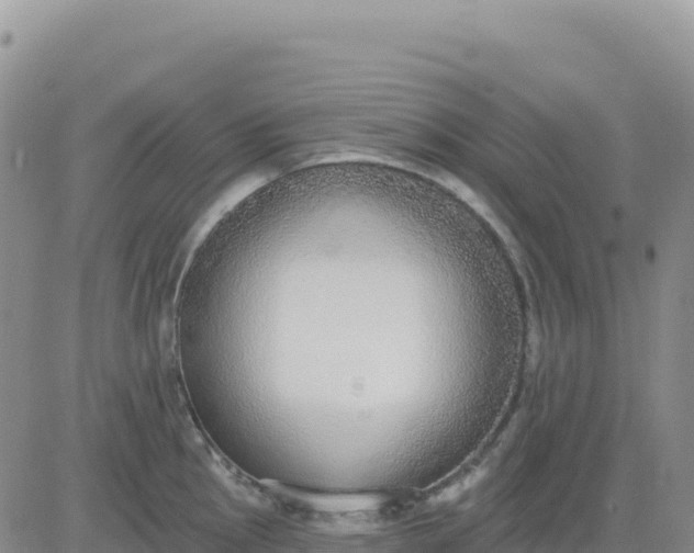 X0000080671145200612301354