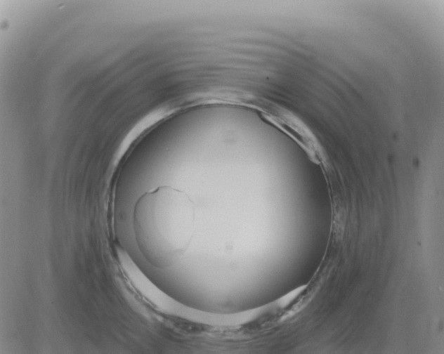 X0000080671146200612301354