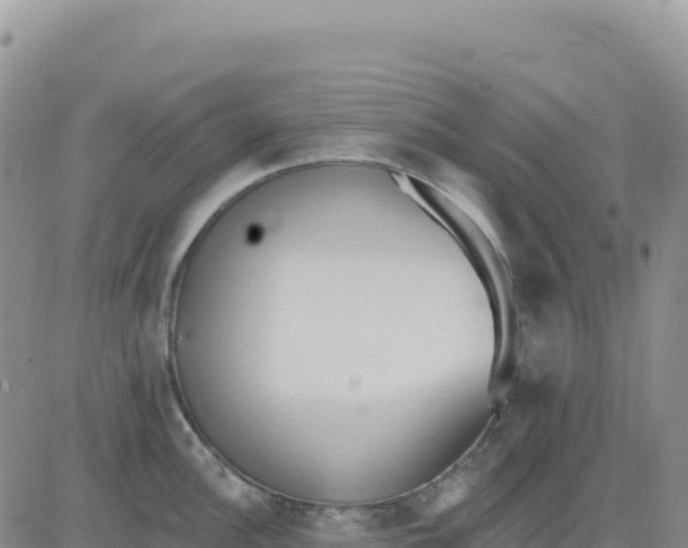 X0000080671148200612301354