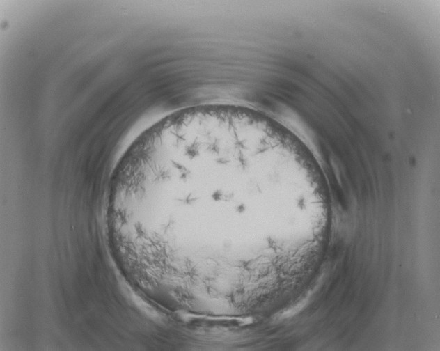 X0000080671149200612301354