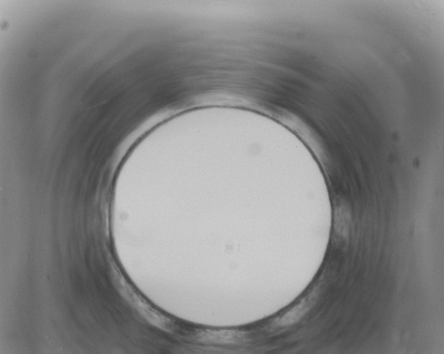 X0000080671150200612301354