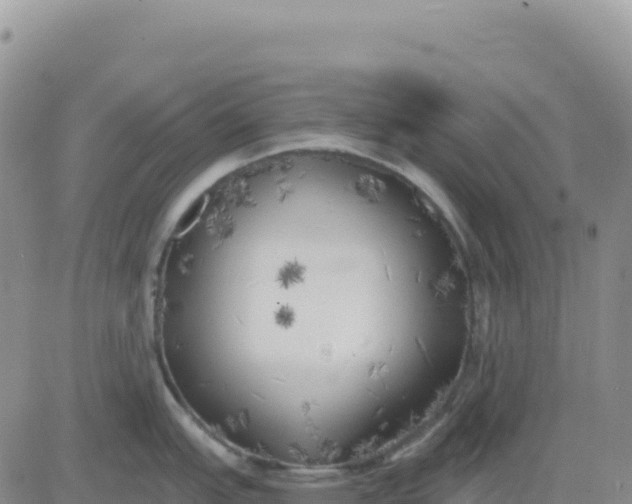 X0000080671151200612301354