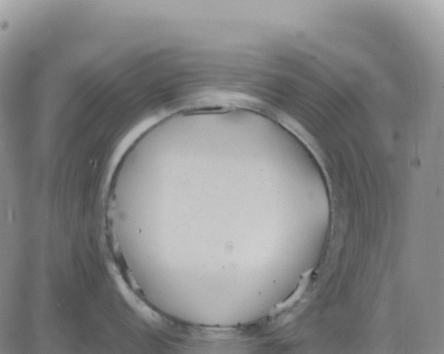 X0000080671152200612301354