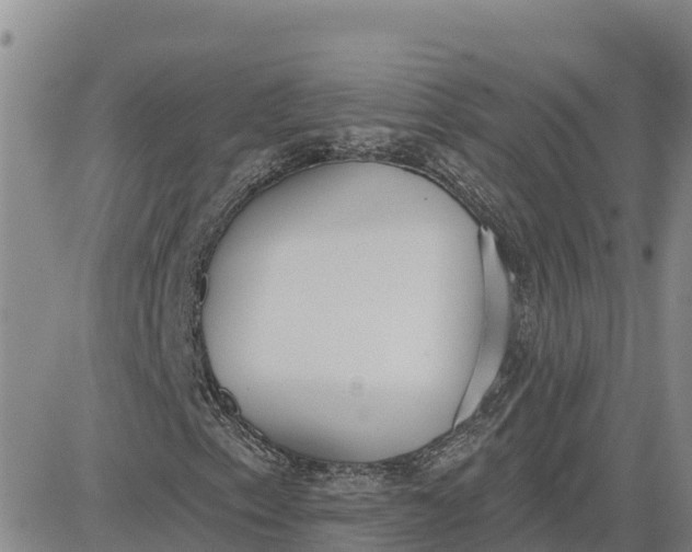 X0000080671153200612301353