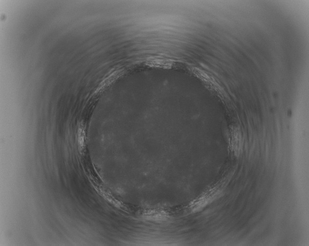 X0000080671154200612301353