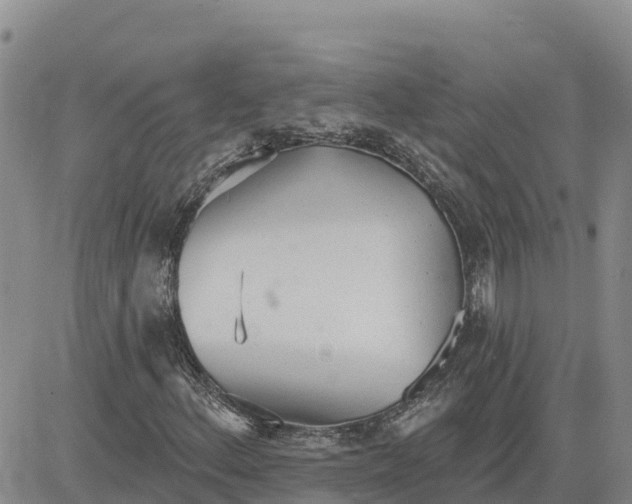 X0000080671156200612301353