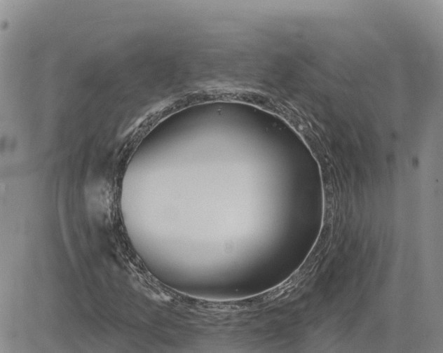 X0000080671157200612301353