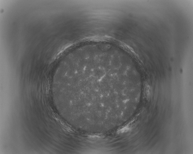 X0000080671158200612301353