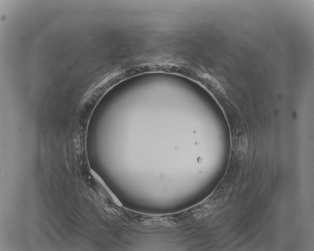 X0000080671159200612301353