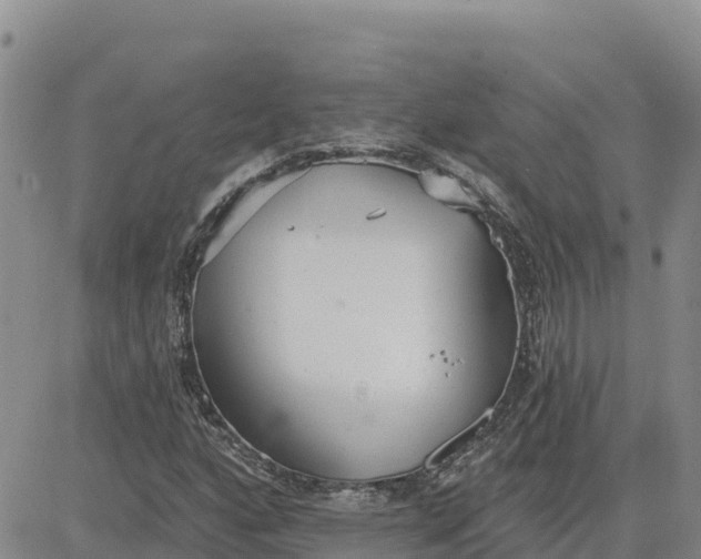 X0000080671160200612301353