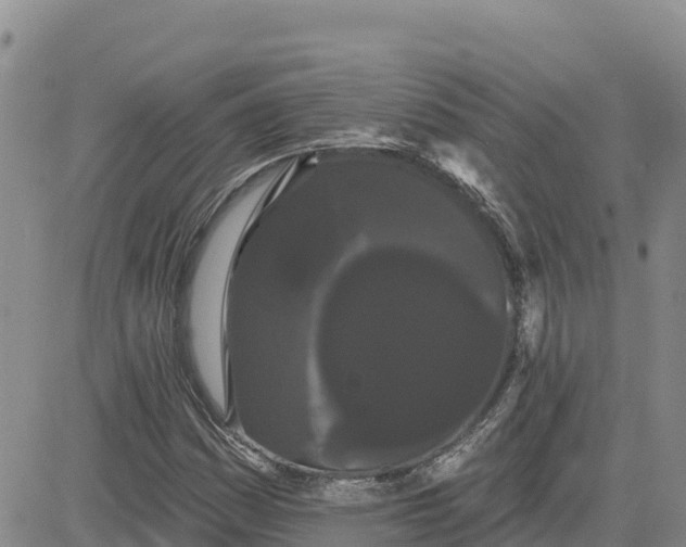 X0000080671161200612301353