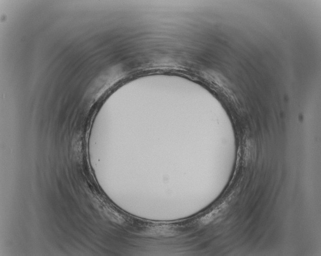 X0000080671162200612301353