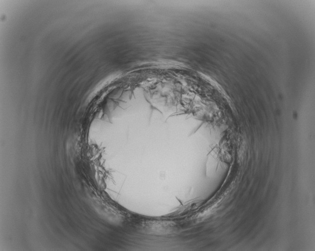 X0000080671163200612301353