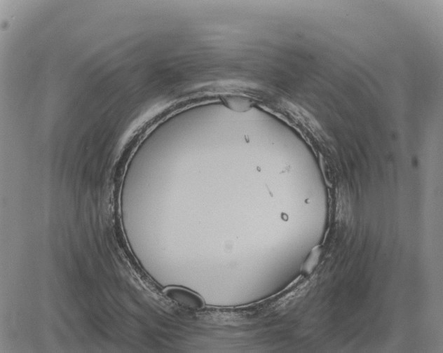 X0000080671164200612301353