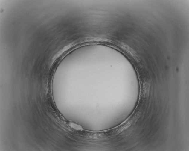 X0000080671165200612301353