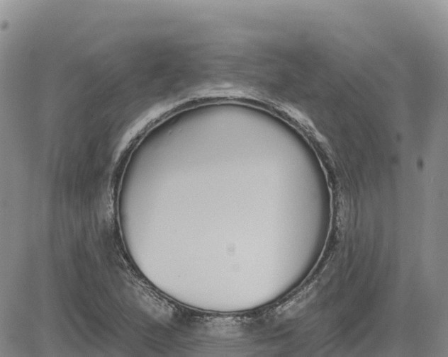 X0000080671167200612301353